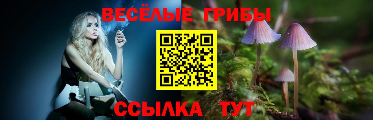 Галлюциногенные грибы мухоморы  Галлюциногенные грибы мицелий  Вход с VPN  Кохма 